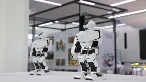 科技賦能大運，智慧點亮蓉城——成都市民搶先體驗大運科技產品與服務